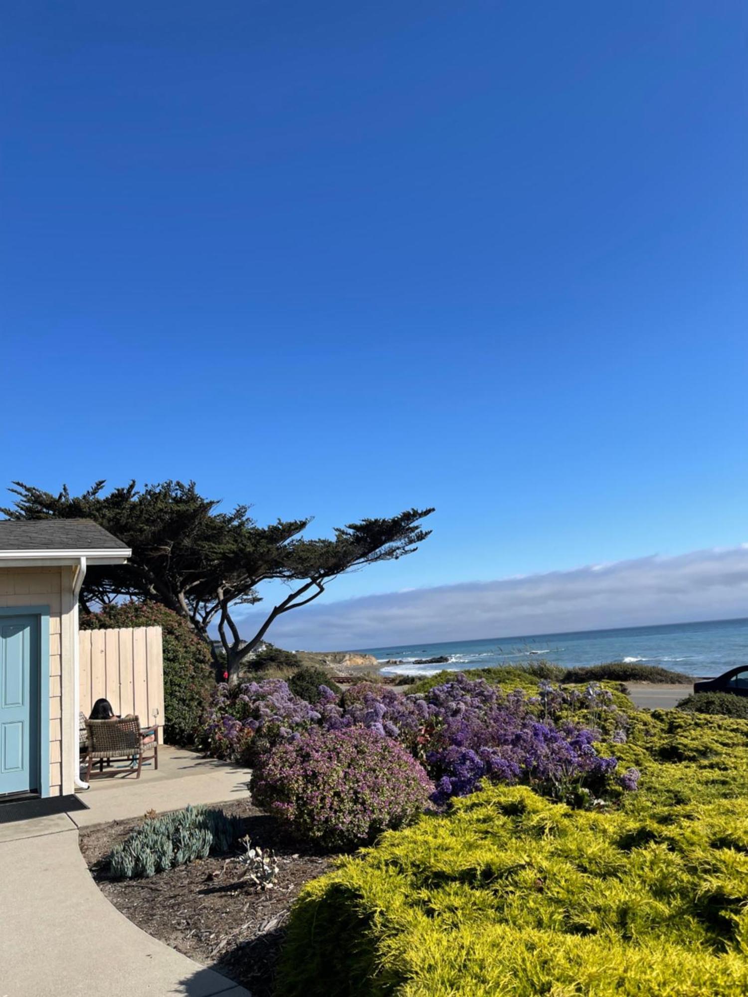 Cambria Landing Inn And Suites Extérieur photo